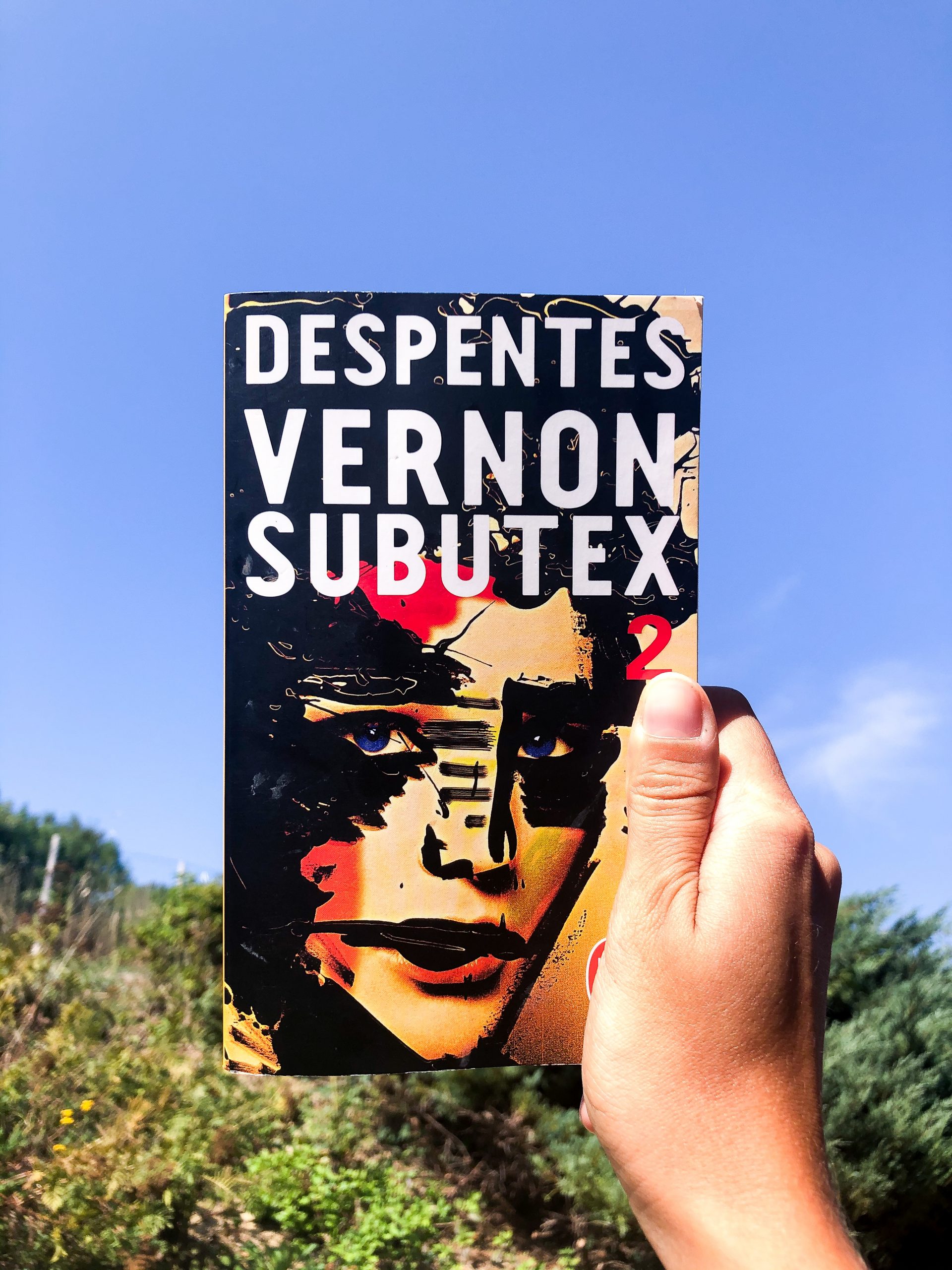 September Book Club 2020 : Vernon Subutex T2 de Virginie Despentes