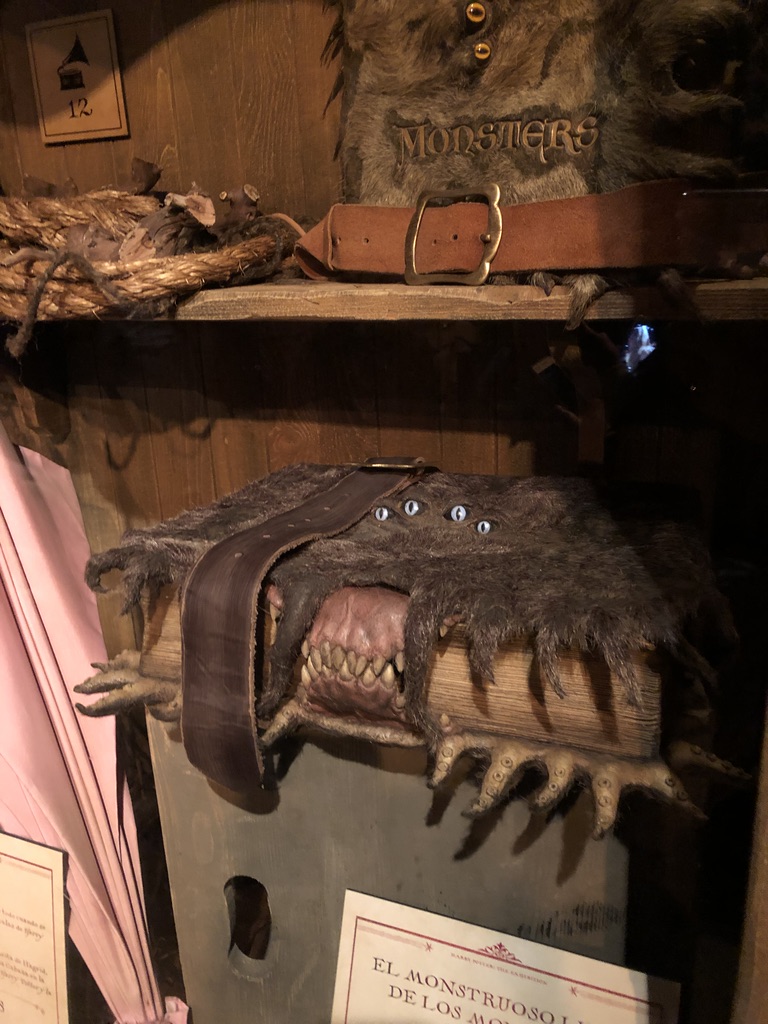 la cabane d’Hagrid avec l’oeuf de dragon posé sur la table
