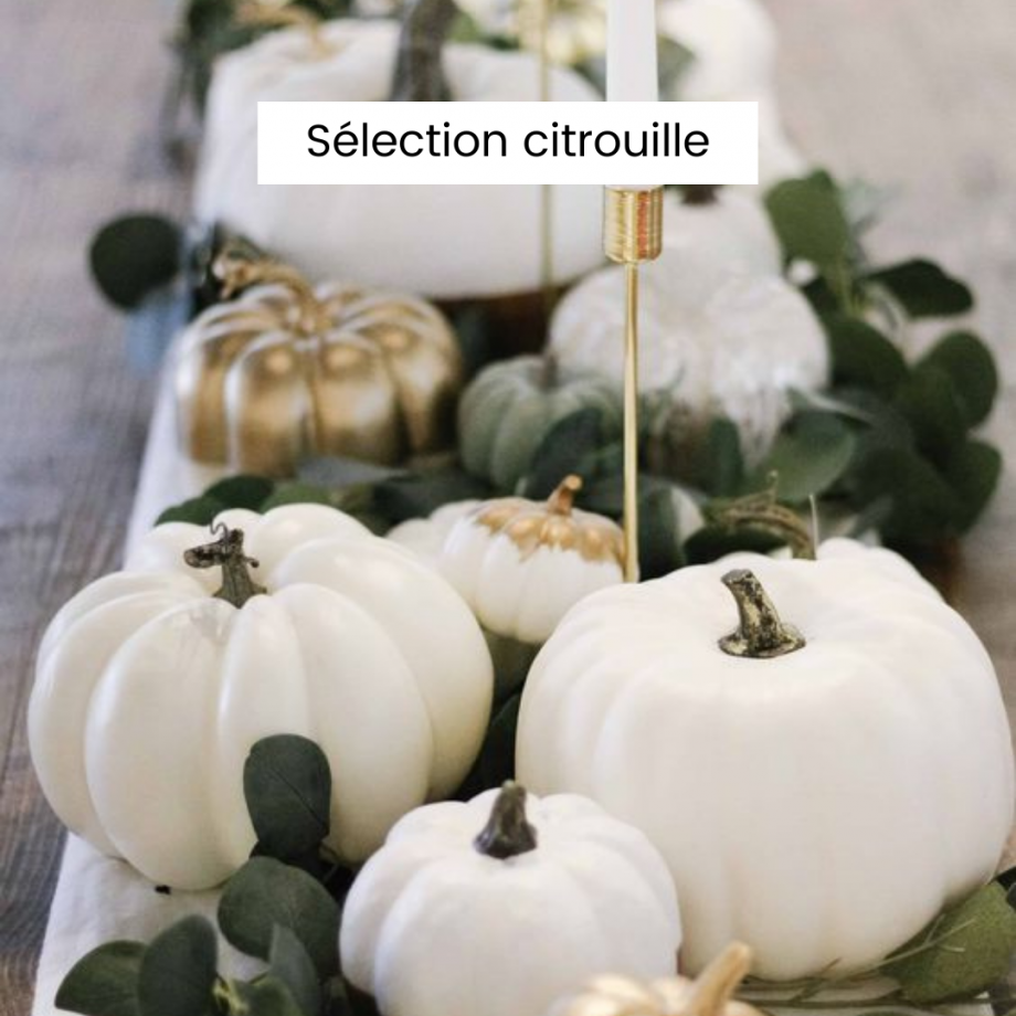 Découvrez ma sélection de citrouilles pour décorer votre maison ou votre appartement pour Halloween et où les acheter.